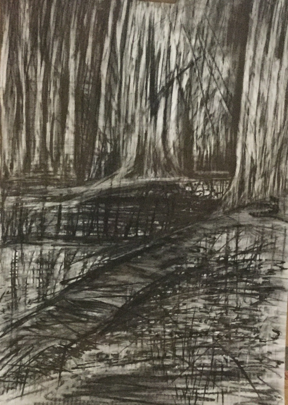 42BF201A-A87F-42F5-9579-A5FFBB5F13F8